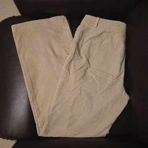 New York & Company Velour Slacks